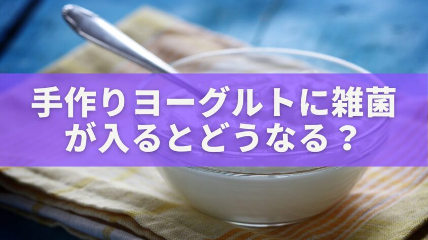 手作りヨーグルトに雑菌が入るとどうなる？危険サインと安全な作り方ガイド