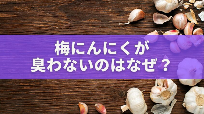梅にんにくが臭わないのはなぜ？科学で解明する無臭のメカニズムと健康効果