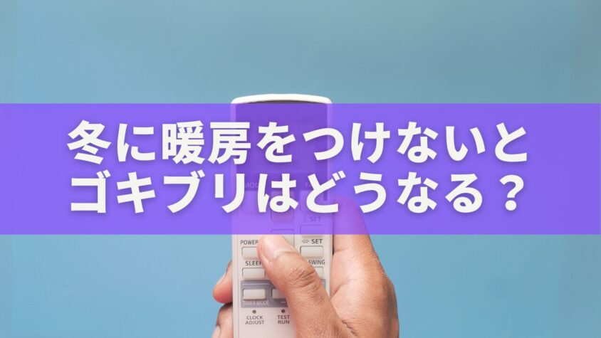 冬に暖房をつけないとゴキブリはどうなる？静かに潜む理由と対策を徹底解説