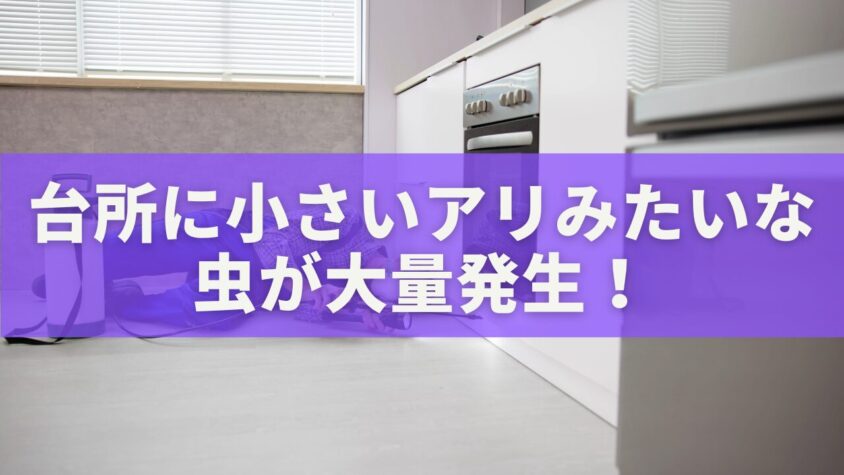 台所に小さいアリみたいな虫が大量発生！