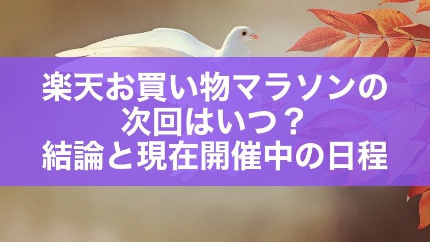 楽天お買い物マラソンの次回はいつ？結論と現在開催中の日程