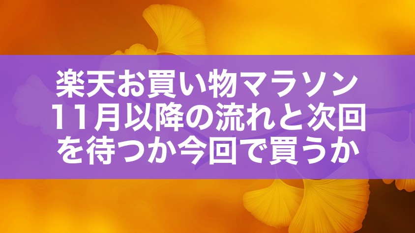 楽天お買い物マラソン11月以降の流れと次回を待つか今回で買うか