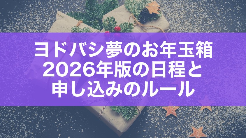 ヨドバシ夢のお年玉箱2026年版の日程と申し込みのルール